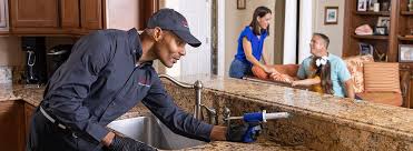 Best Pest Exclusion Services  in Roanoke, VA